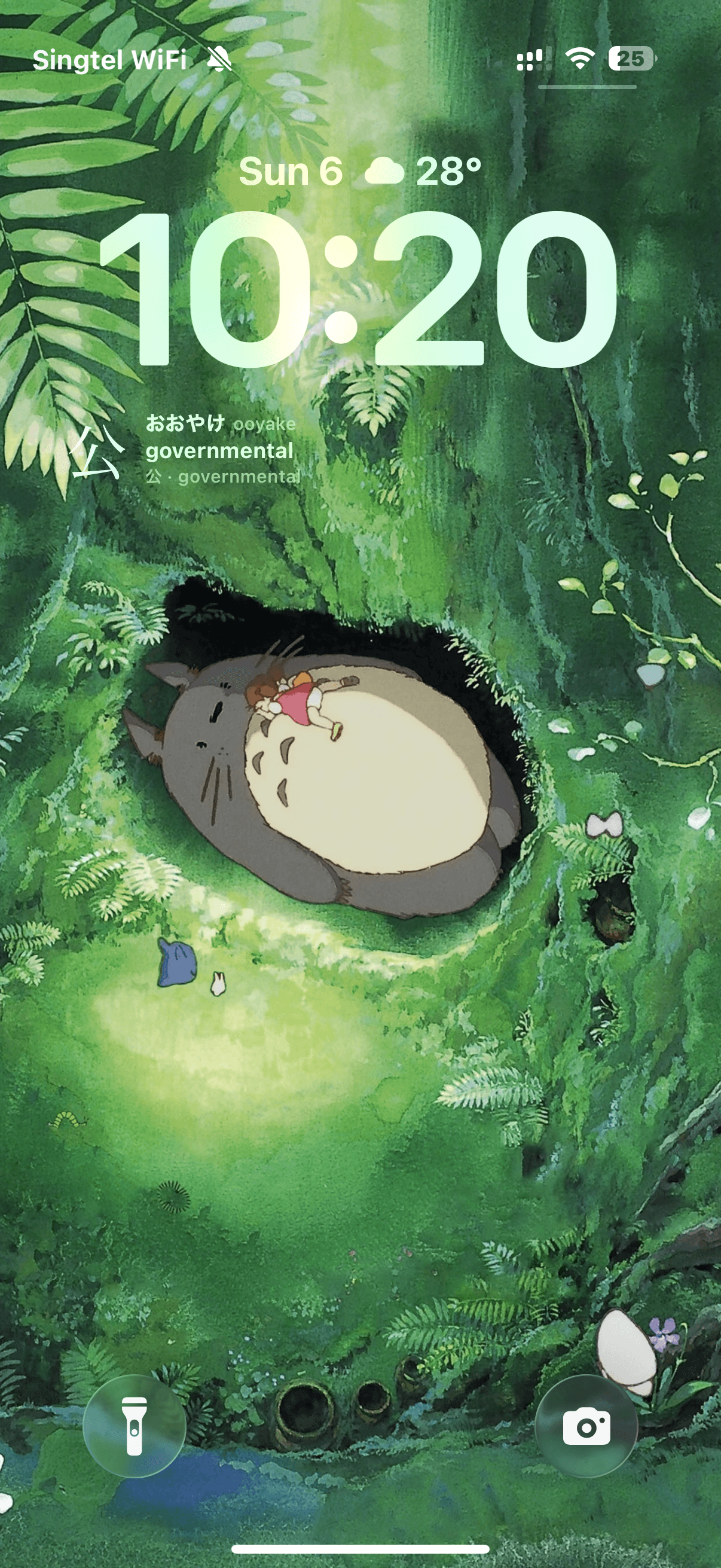 Moji kanji widget on an iPhone Lock Screen with a green forest wallpaper